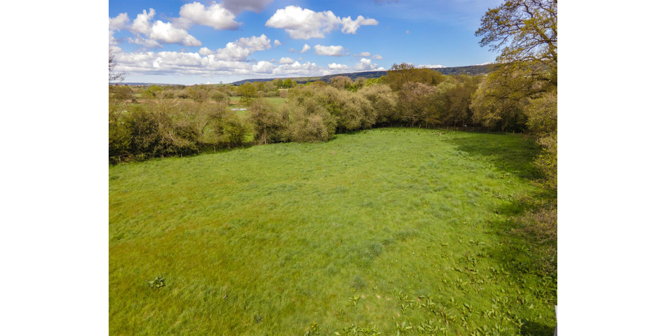 Paddock at Fluxton