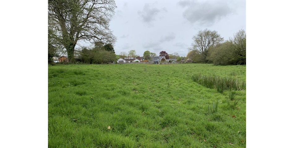 Paddock at Fluxton
