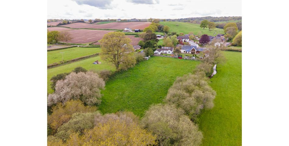 Paddock at Fluxton