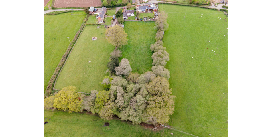 Paddock at Fluxton
