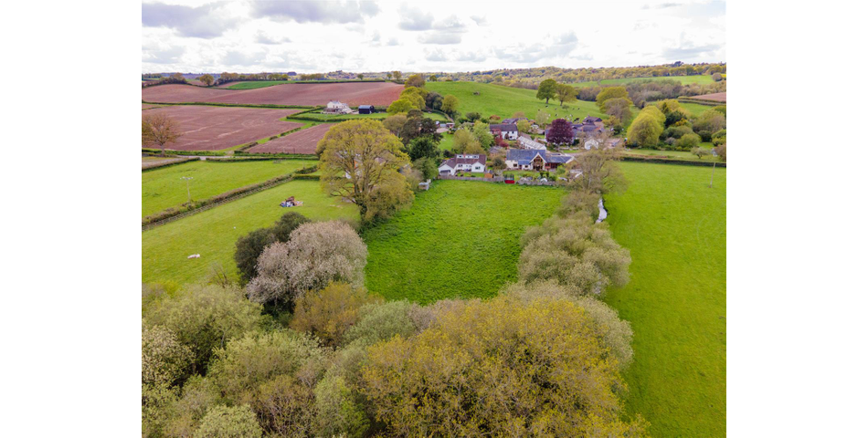Paddock at Fluxton