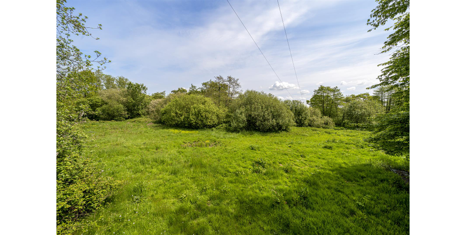 Mill Farm, Fairmile - Ottery St. Mary
