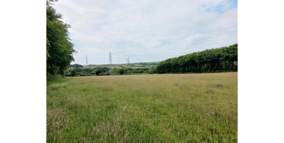 Barn and Land Nr Slaughterbridge - Camelford 