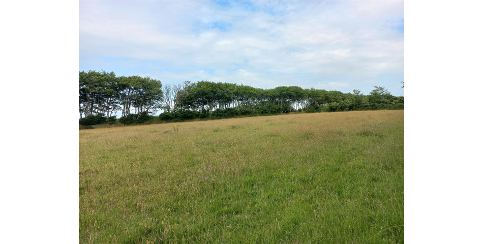 Barn and Land Nr Slaughterbridge - Camelford 