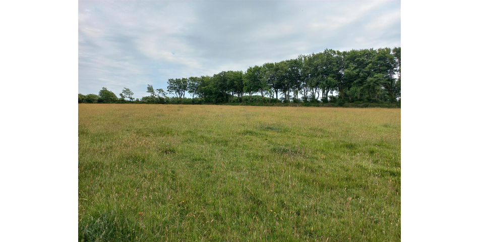 Barn and Land Nr Slaughterbridge - Camelford 