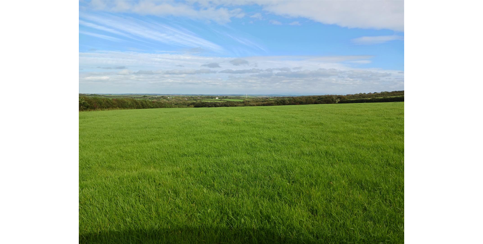 Land nr Crackington Haven - Lot 2