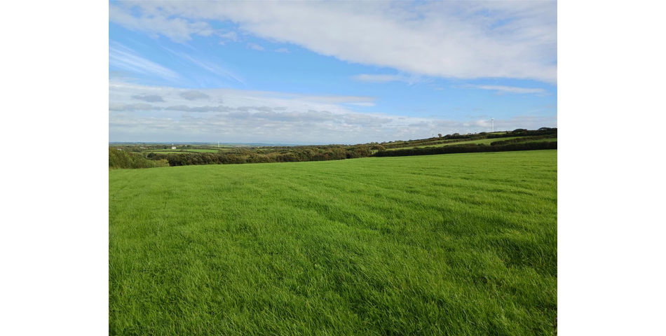 Land nr Crackington Haven - Lot 2