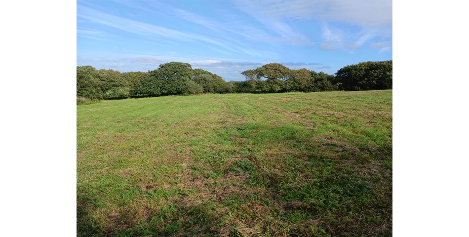 Land nr Crackington Haven - Lot 2