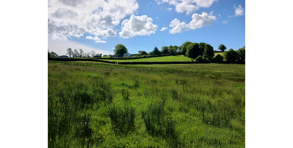 Land at Lewdown Lot 3 