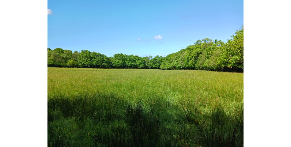 Land at Lewdown Lot 3 