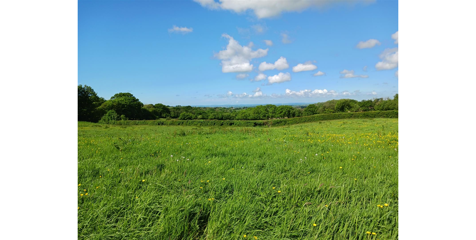 Land at Lewdown Lot 3 