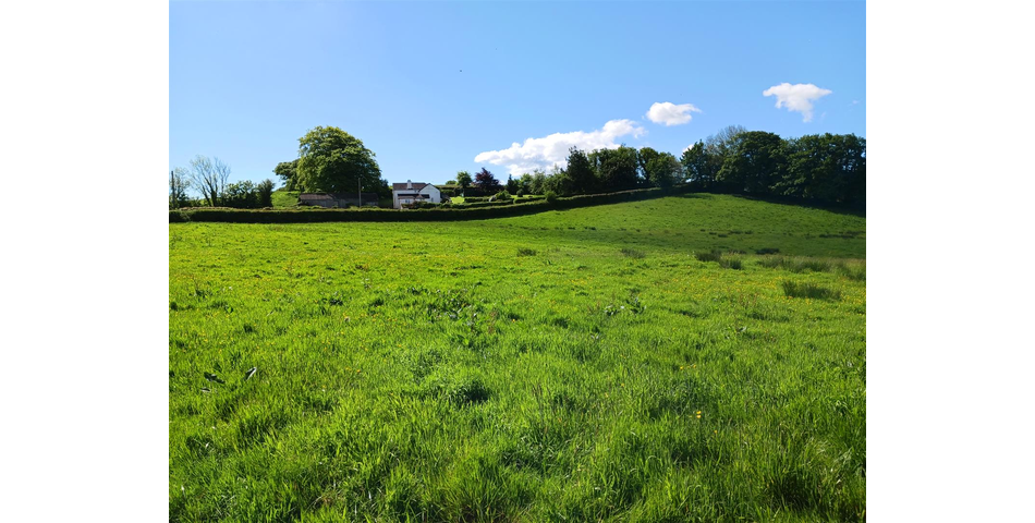 Land at Lewdown Lot 3 