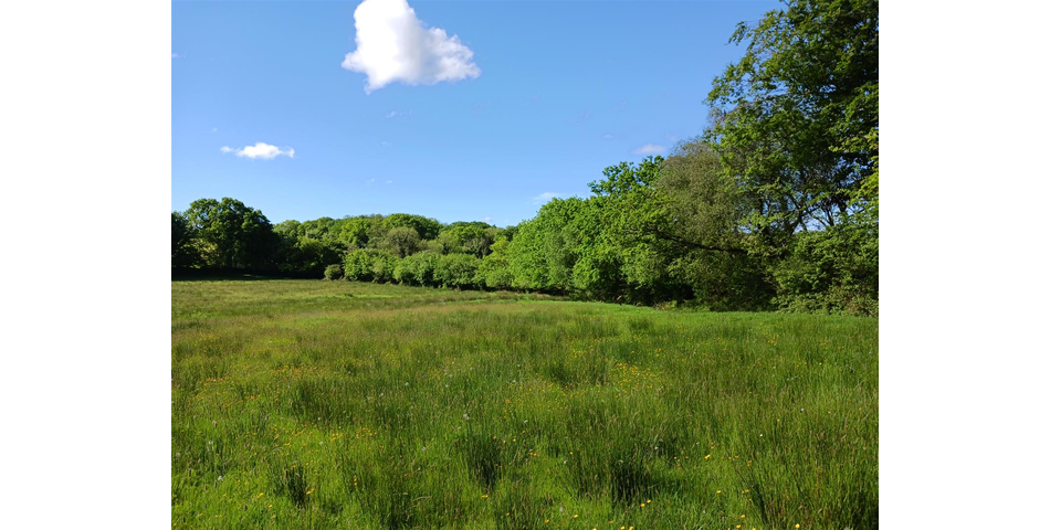 Land at Lewdown Lot 3 