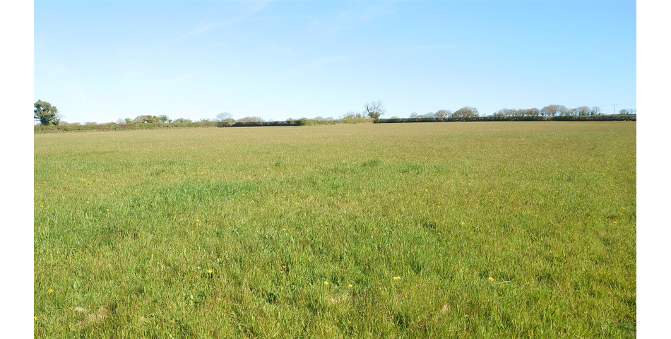 Land on the edge of Kelly Bray - Lot 2