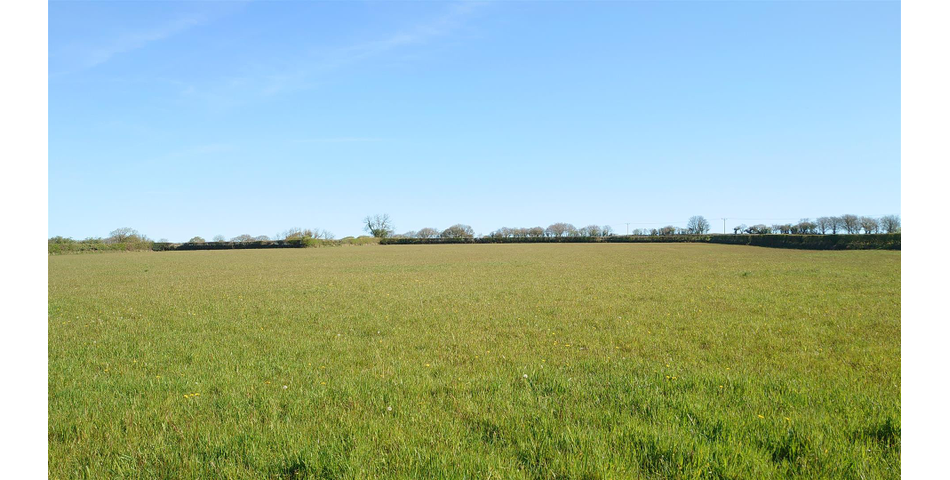 Land on the edge of Kelly Bray - Lot 2