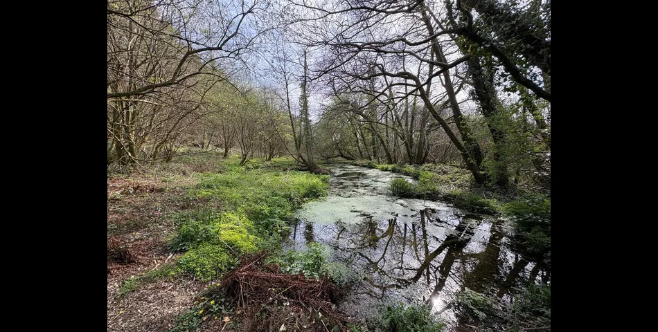 Land at Looe Mills - Liskeard