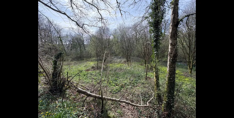 Land at Looe Mills - Liskeard