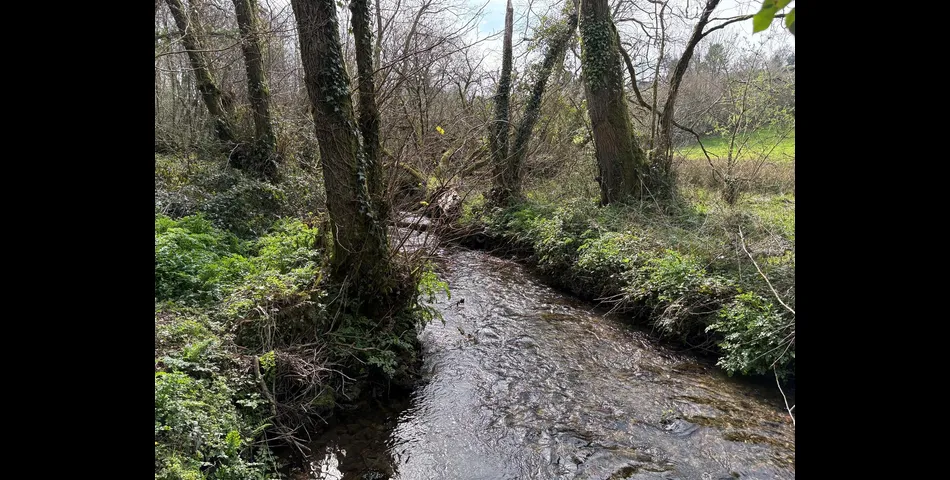 Land at Looe Mills - Liskeard