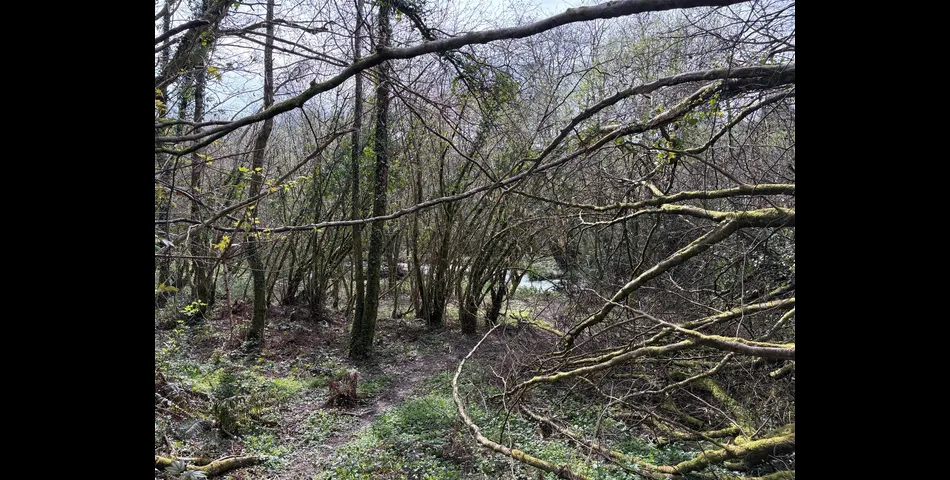 Land at Looe Mills - Liskeard