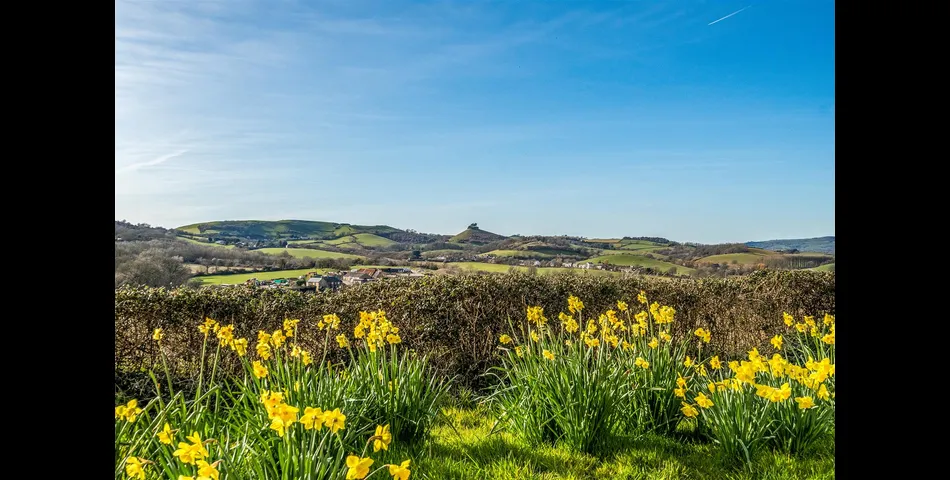 Providence Cottage - Bridport