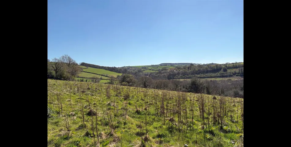 Land Opposite West Frogwell Farm - Callington
