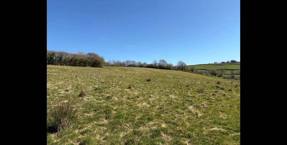 Land Opposite West Frogwell Farm - Callington