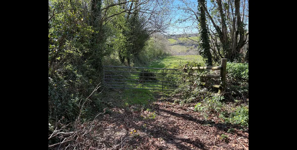 Land Opposite West Frogwell Farm - Callington