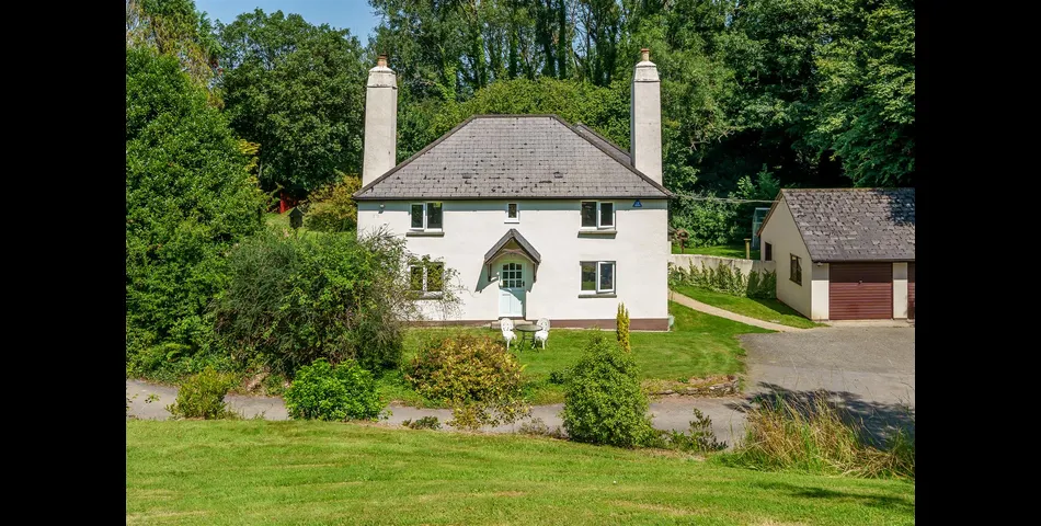 Bumpston Cross Cottage - Buckfastleigh