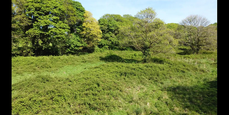 Land, Calloose Lane - Nr Hayle