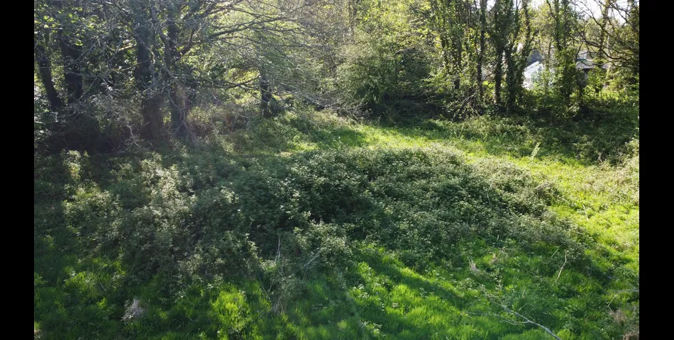 Land, Calloose Lane - Nr Hayle