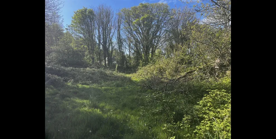 Land, Calloose Lane - Nr Hayle