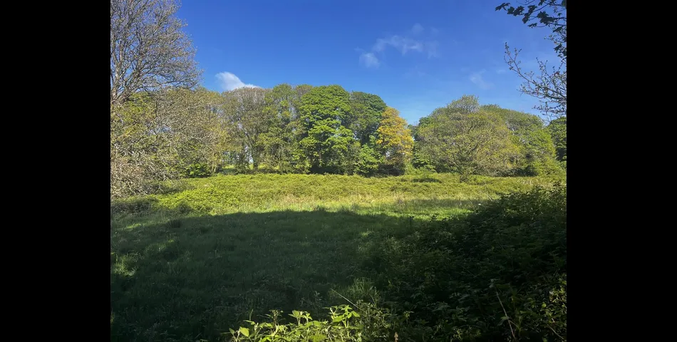 Land, Calloose Lane - Nr Hayle