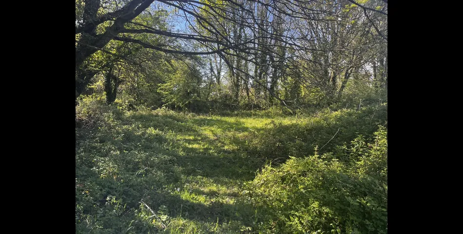 Land, Calloose Lane - Nr Hayle