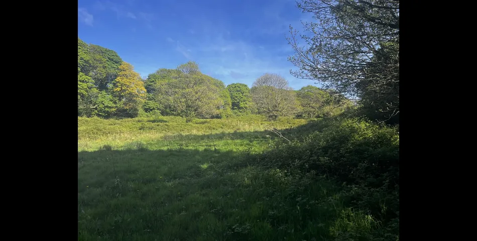 Land, Calloose Lane - Nr Hayle