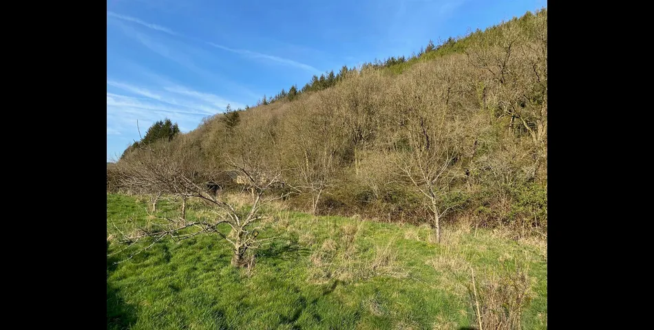 Riverside Lodge - Cove, Tiverton