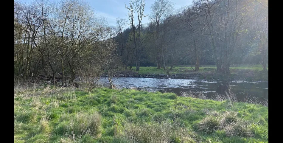Riverside Lodge - Cove, Tiverton
