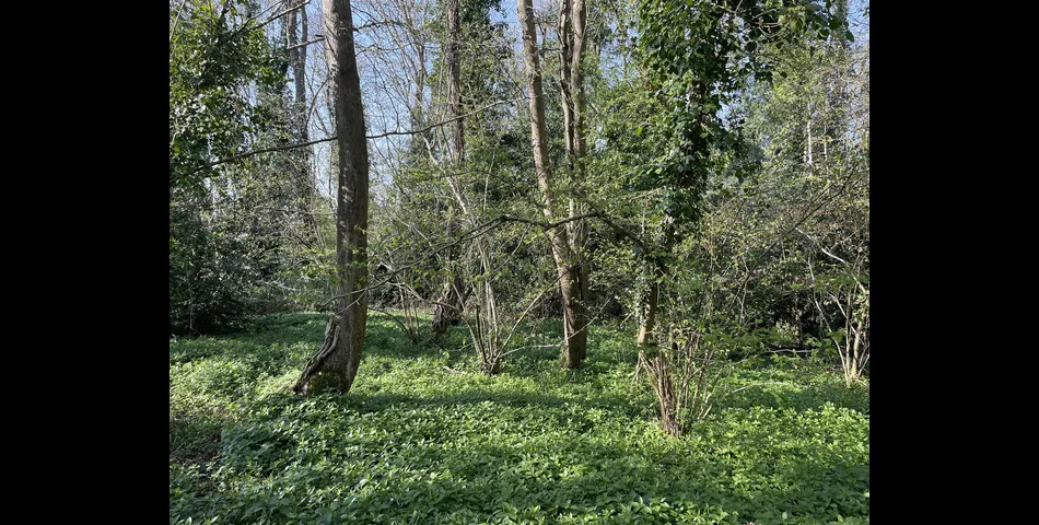 Property cover