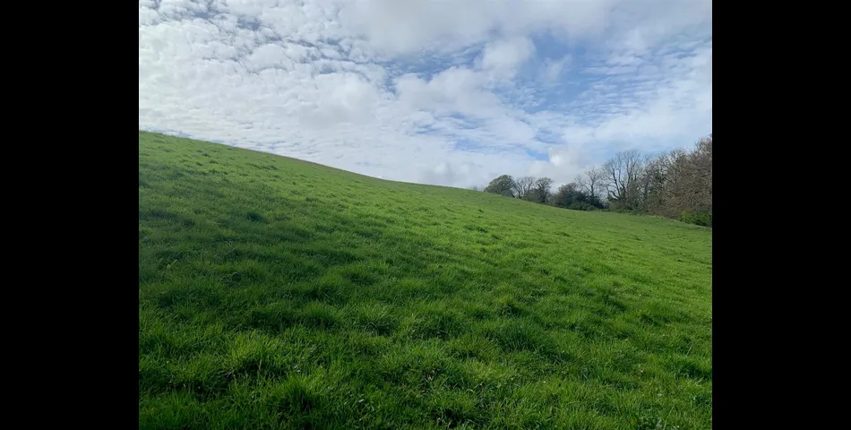 Lot 1 - Land at Branscombe