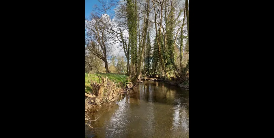 River Meadow at Lower Wellisford - Wellington