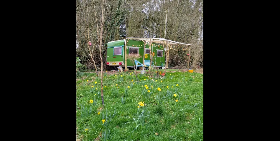 River Meadow at Lower Wellisford - Wellington