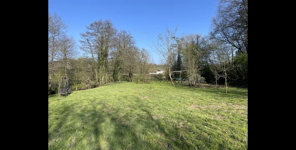 River Meadow at Lower Wellisford - Wellington