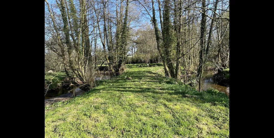 River Meadow at Lower Wellisford - Wellington