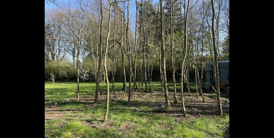 River Meadow at Lower Wellisford - Wellington