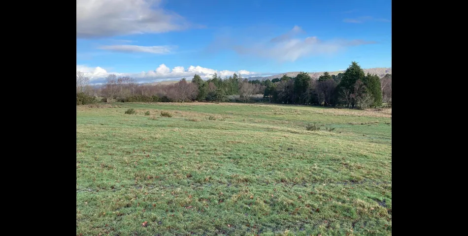 Land on Dartmoor Lot 4
