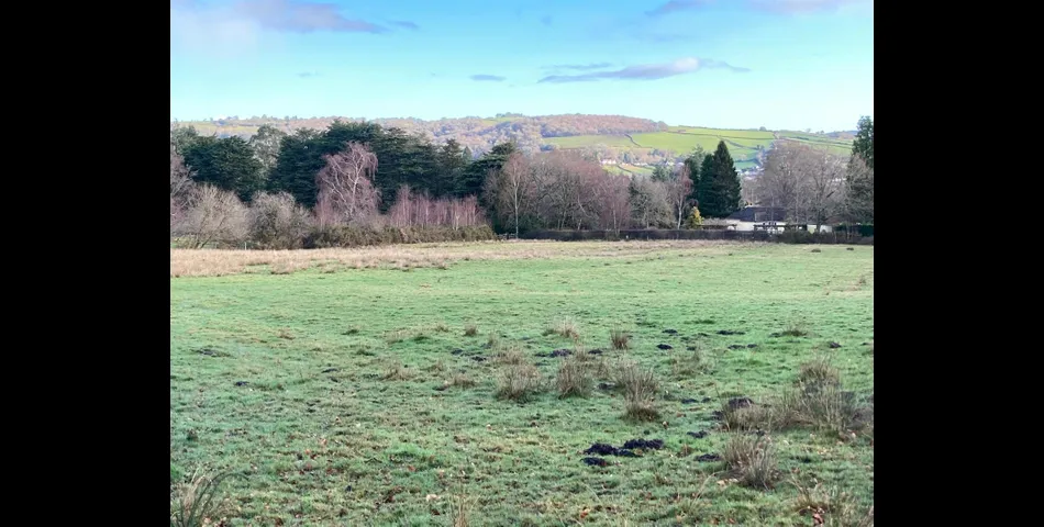 Land on Dartmoor Lot 4