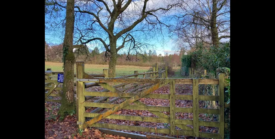 Land on Dartmoor Lot 4