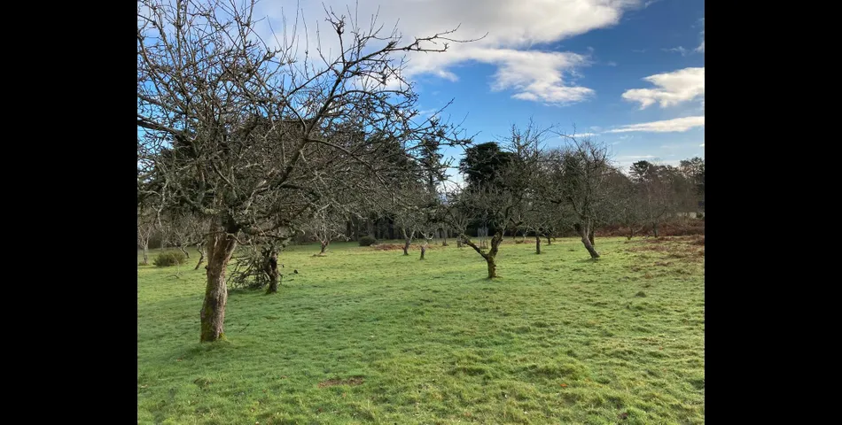 Land on Dartmoor Lot 4