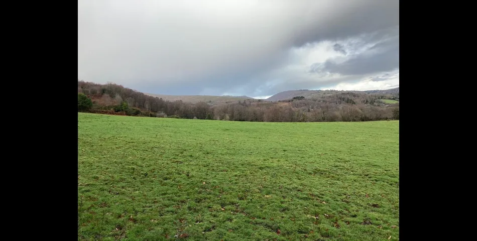 Land on Dartmoor Lot 4