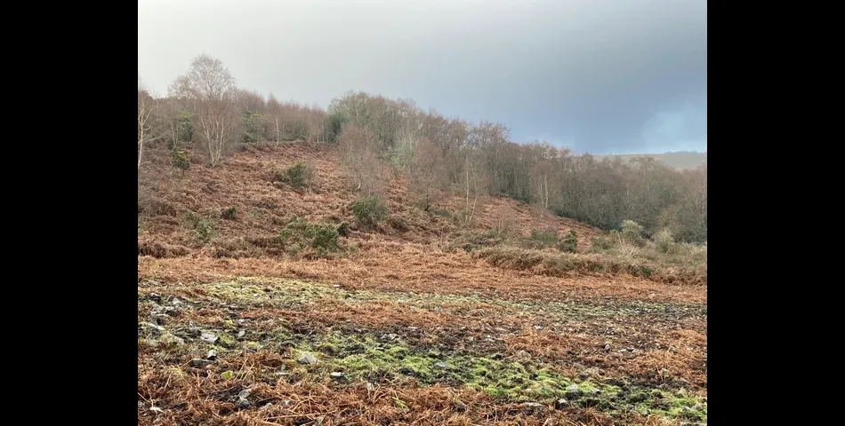 Land on Dartmoor Lot 4