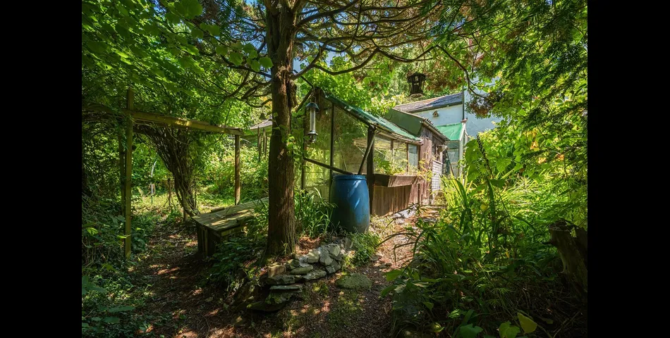 Ye Olde Cottage - Barbrook, Lynton